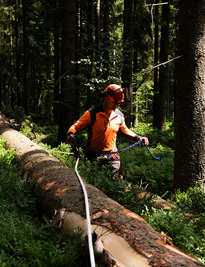 Forestry Line