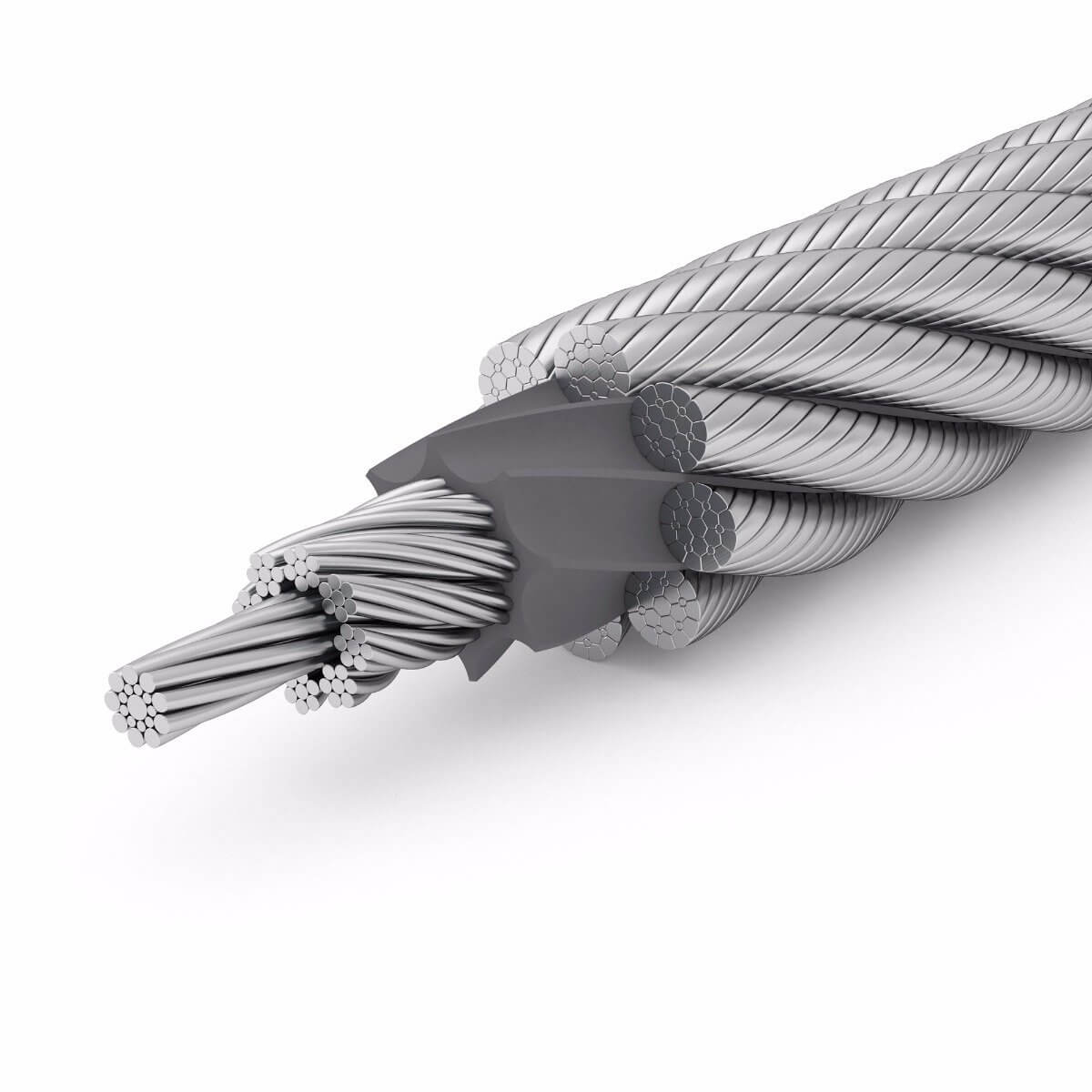 Time evolution of a radial wire arrays composed of 16 tungsten wires